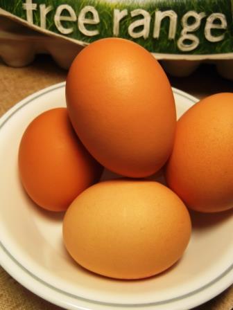 Easy way to separate bits of egg shell from craked egg - The Links Site