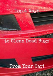 Top half of image shows front of red car covered in dead bugs. Bottom half of image shows front of red car that is clean and free from dead bugs. Text overlay says Top 4 Ways to Clean Dead Bugs From Your Car!