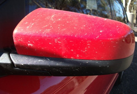 Red car side mirror that is covered in bugs.
