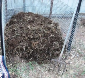 My New Compost Heap