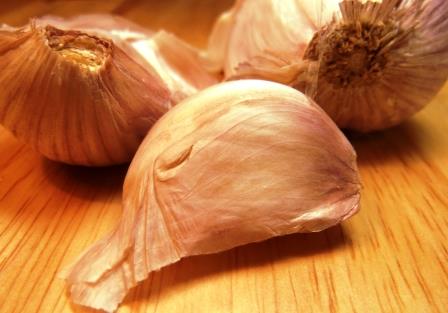 Growing Garlic from Cloves