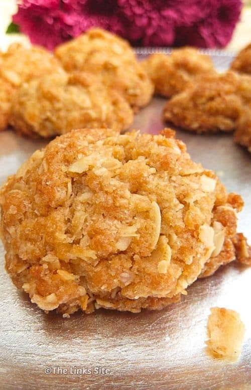 Close up of a homemade munchie showing visible coconut and rolled oats, with more munchies blurred in the background.
