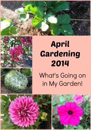 April Gardening 2014