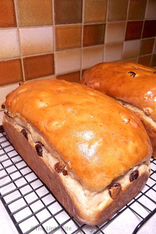 Two freshly baked fruit loaves on a cooling rack.