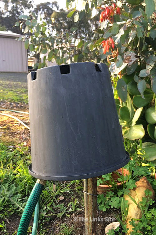 Garden tap that has an upturned black plastic pot over the top of it. Trees, shrubs, and a shed can be seen in the background.