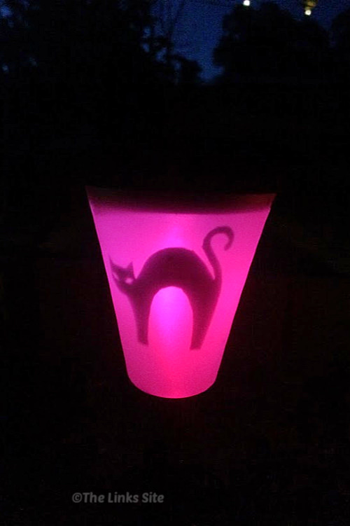 Night time image showing a pink solar light decorated with a scary black cat image.