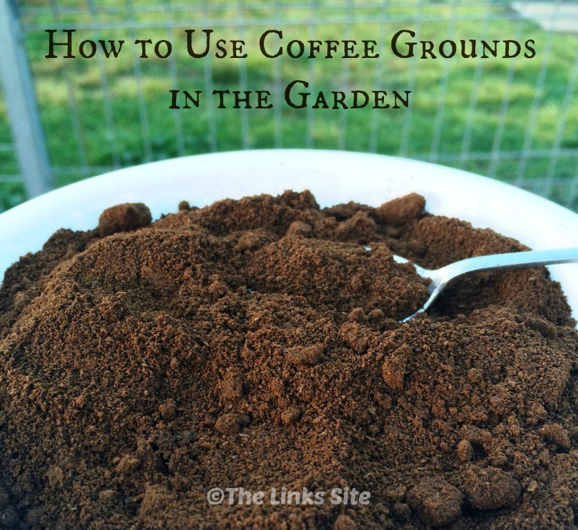 White bowl containing spent coffee grounds and a spoon. A fence and grass can be seen in the background. Text overlay says: How to Use Coffee Grounds in the Garden.