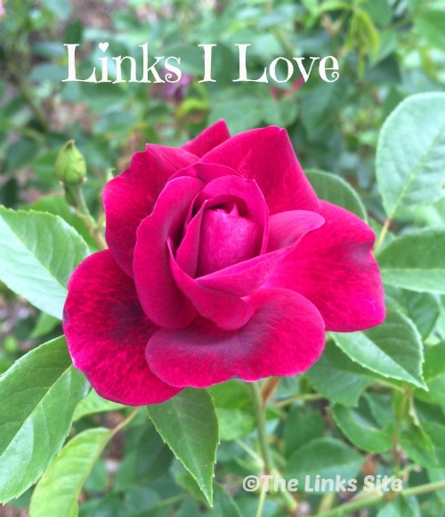 Links I Love from September 2015