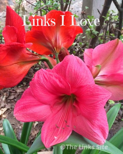 Links I Love from October 2015