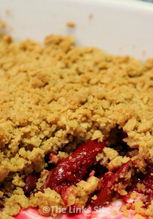 Whether you have your own plums or you buy some, you definitely need to try this Plum Crumble Recipe!