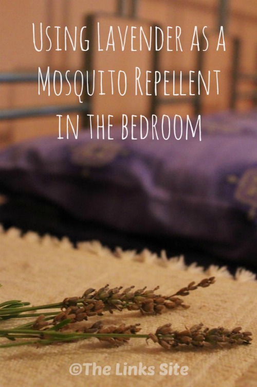 How to use lavender to quickly and easily repel mosquitoes in the bedroom!