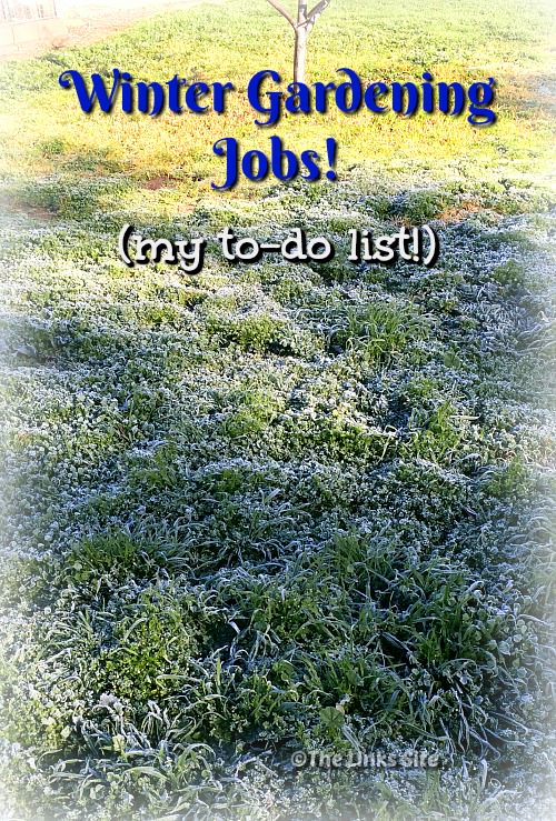 Picture of frosty grass. Text overlay says: Winger Gardening Jobs! (my to-do list!)