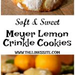 Long collage picture containing two images and some text. Top image shows crinkle cookies arranged on a wooden board. Bottom image shows crinkle cookies on a cooling rack with two lemons in the background. Between the two images the text reads: Soft & Sweet Meyer Lemon Crinkle Cookies.