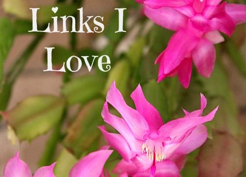 Links I Love from June