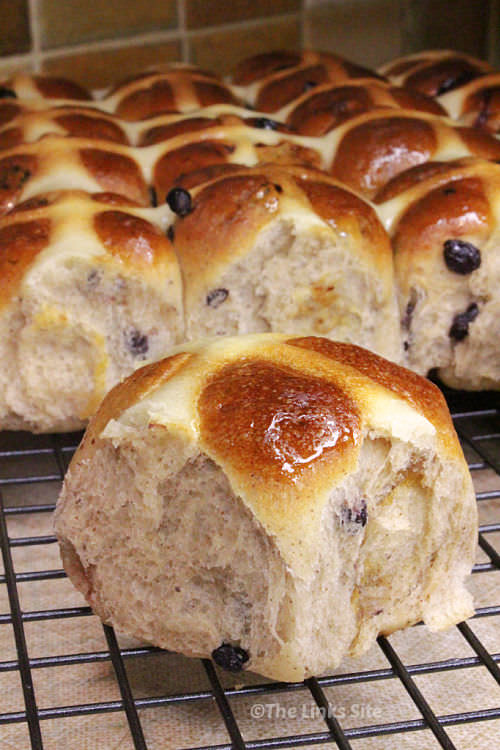 A single hot cross bun is pictured on a cooling rack with more joined buns in the background.