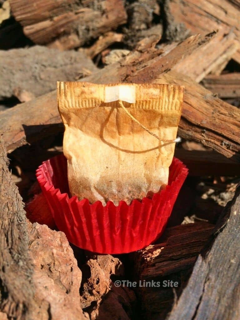 Firelighter made from a cupcake liner and teabag is shown nestled amongst a wood pile.