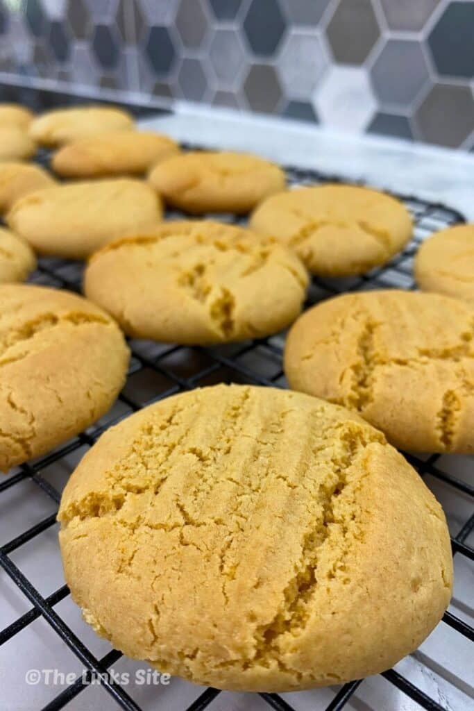 Golden syrup cookie in focus with soft, blurred cookies behind it.