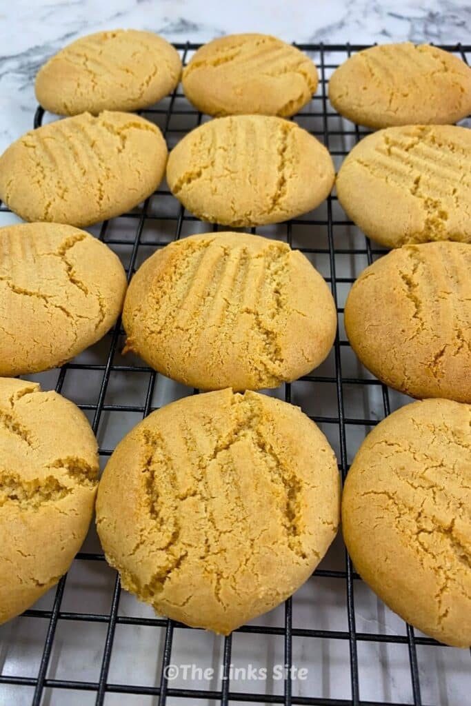Golden syrup cookies cooling on a black wire rack after baking.
