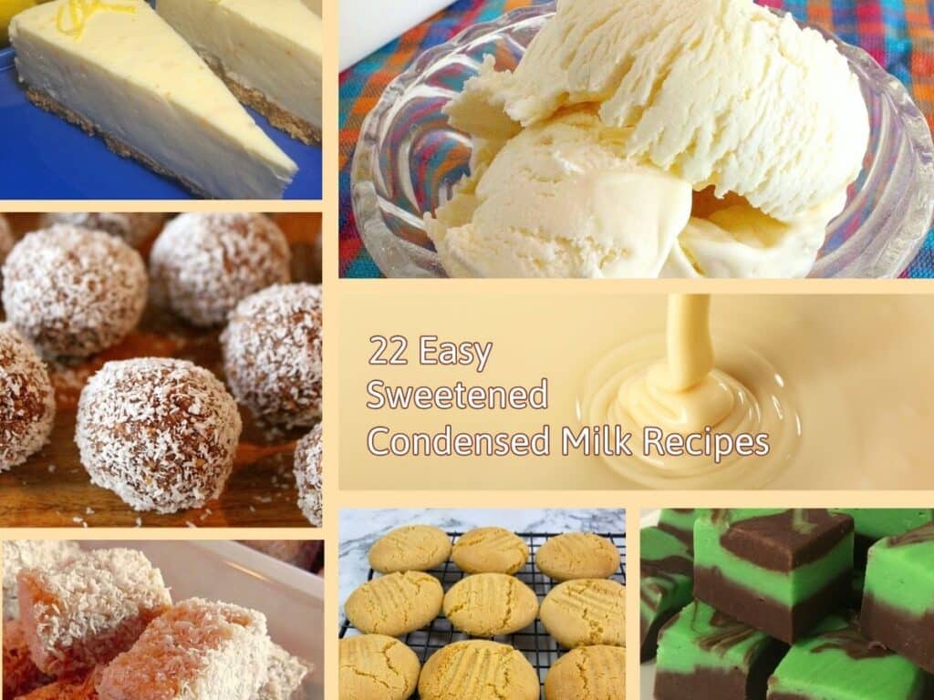 A landscape collage featuring homemade sweet treats made with sweetened condensed milk, including lemon cheesecake slices, chewy cookies, coconut balls, fudge squares, vanilla ice cream, and lemon squares, arranged together in a horizontal layout with a text overlay reading ‘22 Easy Sweetened Condensed Milk Recipes.’